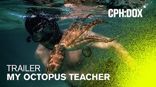 My Octopus Teacher Trailer  CPHDOX 2020