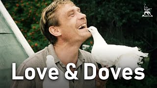 Love and Doves  ROMANTIC COMEDY  FULL MOVIE