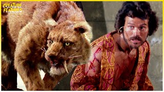 Sinbad Fights Zenobia  Sinbad and the Eye of the Tiger  Creature Features