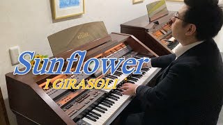 Love Theme From Sunflower 1970  I girasoli