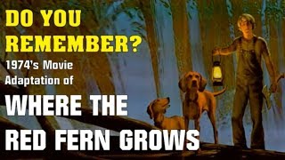 Remembering the 1974 Movie Where The Red Fern Grows  Stewart Petersen Update