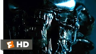 Alien 1979  The Alien Appears Scene 35  Movieclips