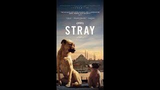 Novelpro Junkie Interview with Elizabeth Lo director of Stray