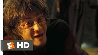Hes Back  Harry Potter and the Goblet of Fire 55 Movie CLIP 2005 HD