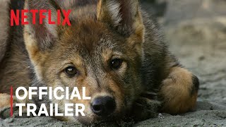 Island of the Sea Wolves  Official Trailer  Netflix