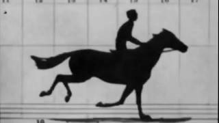 Sallie Gardner at a Gallop 1878