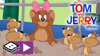 The Tom and Jerry Show  10000 Hamster Pups  Boomerang UK