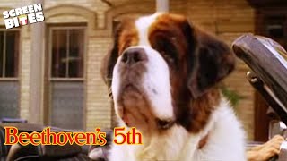Beethovens 5th 2003  Official Trailer  Screen Bites
