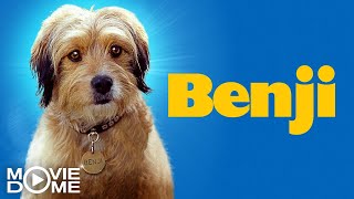 Benji  Full Movie  Family Comedy  Watch it now for free in English on Moviedome UK