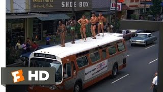 Stay Hungry 1111 Movie CLIP  Bodybuilders Unleashed 1976 HD