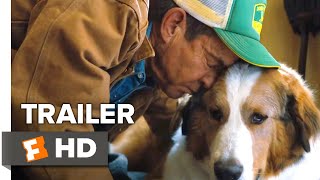 A Dogs Journey Trailer 1 2019  Movieclips Trailers