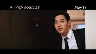 A Dogs Journey 2019  Official Movie Trailer with Henry 