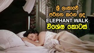International Films and Sri Lanka  EP02  Elephant Walk 1954