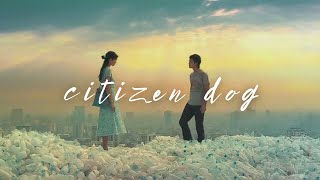 citizen dog 2004  film review