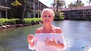 Actress LeighAllyn Baker swims with the dolphins at Dolphin Quest Oahu