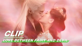 Last kiss  Love Between Fairy and Devil EP36    iQIYI