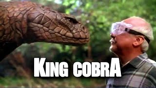 King Cobra 1999  Full Movie Review