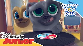 Puppy Dog Pals    Theme Song   Official Disney Channel Africa
