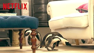 Parents Search for Their Baby Penguin  Penguin Town  Netflix After School
