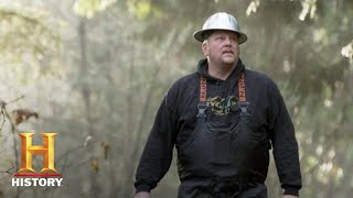 Ax Men Rygaard Logging Forges a New Path Season 10  History