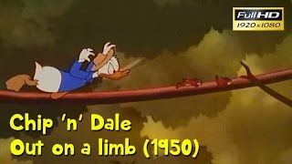 CHIP N DALE  OUT ON A LIMB 1950 FULL HD