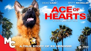 Ace Of Hearts  Full Adventure Drama Movie  Dean Cain  True Story