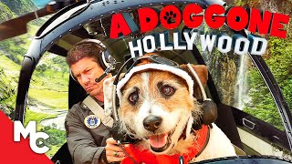 A Doggone Hollywood  Full Family Adventure Movie  Dog Movie