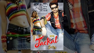 Jackal Kantri English Full Movie  Jr NTR Hansika  Meher Ramesh