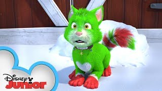 Official Trailer  Spookley and the Christmas Kittens  Disney Junior