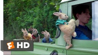 Peter Rabbit 2018  Wet Willy Rescue 410  Movieclips
