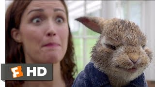 Peter Rabbit 2018  Skirmish In The Studio Scene 510  Movieclips
