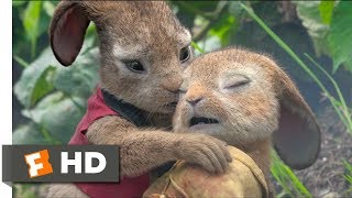 Peter Rabbit 2018  Playing With Fire Scene 810  Movieclips