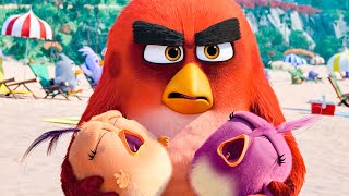 THE ANGRY BIRDS MOVIE 2  First 8 Minutes From The Movie 2019