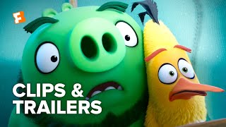 The Angry Birds Movie 2 ALL Clips  Trailers 2019  Fandango Family