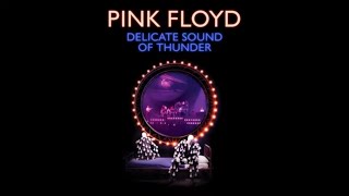 Pink Floyds Delicate Sound Of Thunder  Out November 20th