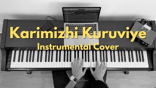 Karimizhi Kuruviye  Instrumental Cover by Rejo Abraham Mathew  Meesha Madhavan