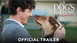 A DOGS WAY HOME  Official Trailer HD