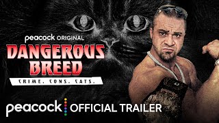 Dangerous Breed Crime Cons Cats  Official Trailer  Peacock Original