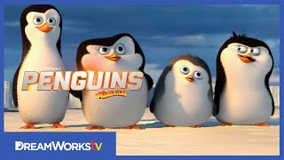 Official First Four and a Half Minutes  PENGUINS OF MADAGASCAR