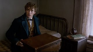Fantastic Beasts and Where to Find Them  Announcement Trailer HD