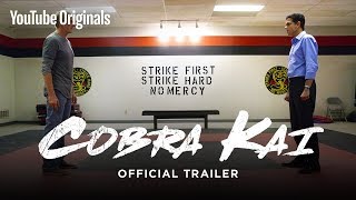 Official Cobra Kai Trailer  The Karate Kid saga continues