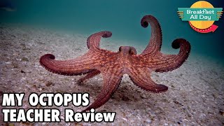 My Octopus Teacher movie review  Breakfast All Day