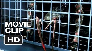 Spiders 3D Movie CLIP 1 2013 Christa Campbell William Hope Movie HD