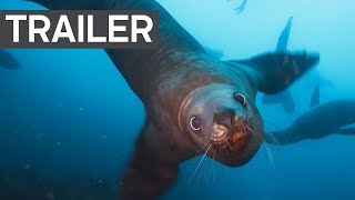 Blue Planet II Official Trailer 2  BBC Earth