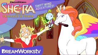 Swift Wind Adventures A Princess Birthday Party  SHERA AND THE PRINCESSES OF POWER NEW SHORTS