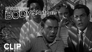 INVASION OF THE BODY SNATCHERS  Pods Clip  Paramount Movies