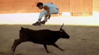 Bull Jumping  Inside the Human Body Hostile World  BBC One