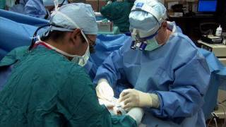 Double Hand Transplant Surgery  Inside the Human Body Hostile World  BBC One