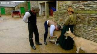 Goat Milking Fail  Edwardian Farm Episode 2  BBC Two