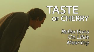 Taste Of Cherry  Reflections On Lifes Meaning